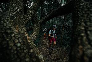 BIB: 
                            <button type="button" onclick="openModal(25689464)" class="btn btn-primary btn-sm float-right btn-popup" data-toggle="modal" data-target=".modal-high-quality">
                        <i class="fas fa-shopping-cart"></i> Add to Cart
                    </button>
                                            <button type="button" onclick="isThisMe(25689464, true)" class="btn btn-success btn-sm float-right btn-popup btn-isme hidden" data-toggle="tooltip" data-placement="bottom" title="นี่คือรูปของคุณใช่ไหม คลิกที่นี่เพื่อเอาเข้าอัลบั้ม">
                        <i class="fas fa-plus"></i> Add to album
                    </button>
                    <button type="button" onclick="isThisMe(25689464, false)" class="btn btn-warning btn-sm float-right btn-popup btn-isnotme hidden">
                        <i class="fas fa-ban"></i> Remove from album
                    </button>